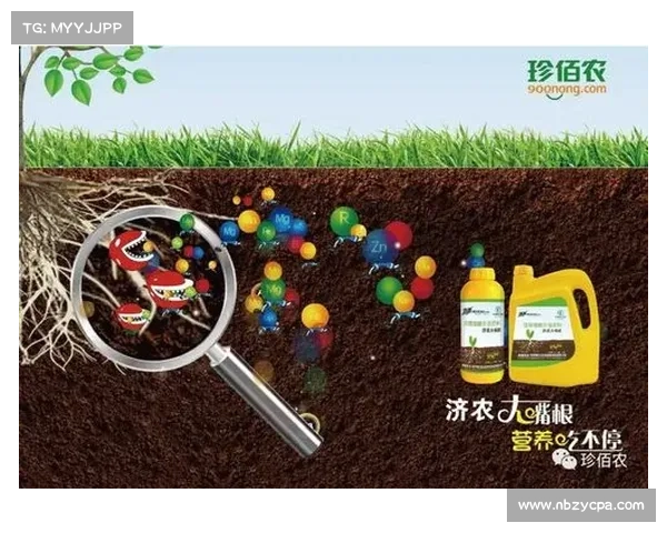 如何选择适宜高地红石榴种植的最佳土壤和气候环境 如何选择适宜高地红石榴种植的最佳土壤和气候环境