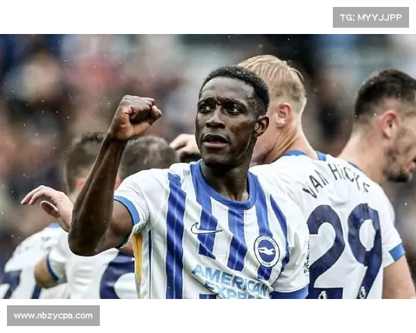 揭开维尔贝克黑贝之谜的五大真相深度解析未知秘密背后的逻辑