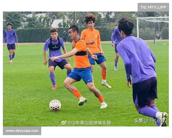 山东泰山体能储备五大关键策略助力运动员全方位提升竞技状态