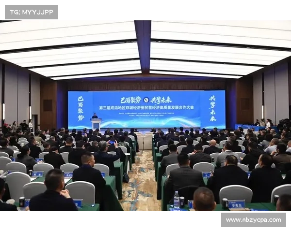 推动双城经济发展：五大战略举措助力区域协同与共赢