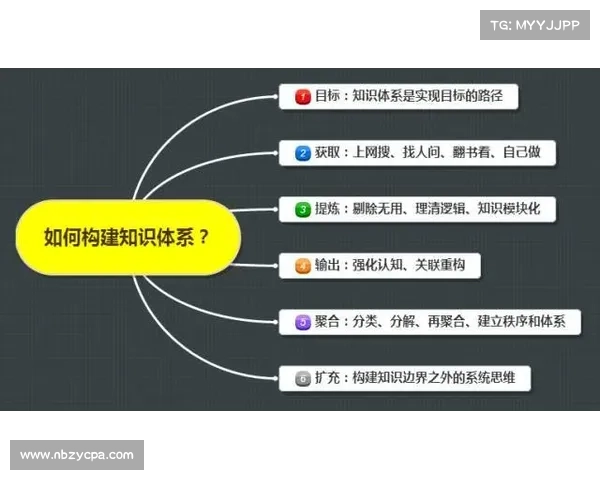 提升篮球赛事观众满意度的关键策略与服务质量优化路径探讨