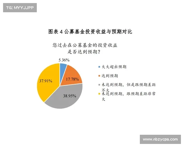 提高欧洲杯投资收益的五大战略方法及实施路径解析